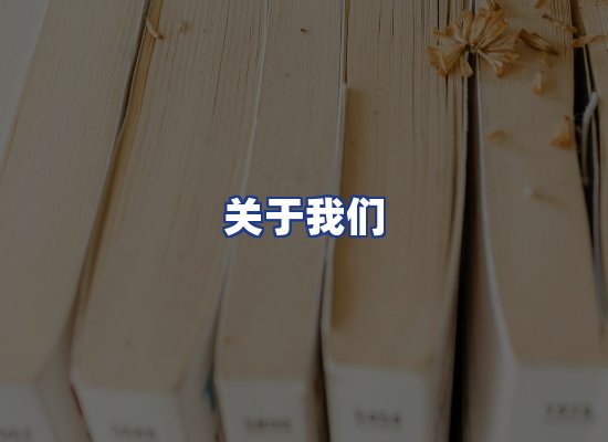 专业团队